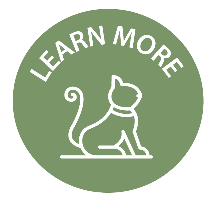 Learn-more-icon.png