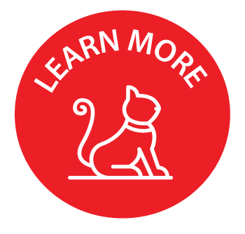 Learn-more-red-icon.png